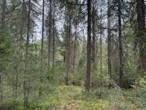 18XX Dry Creek Rd, Chewelah, WA 99109 - #2