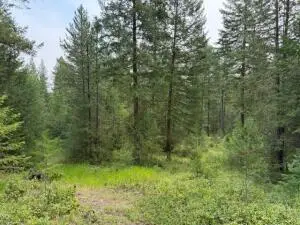 18XX Dry Creek Rd, Chewelah, WA 99109 - #3