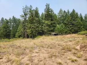 250 Union Ridge Rd, Republic, WA 99166 - #1