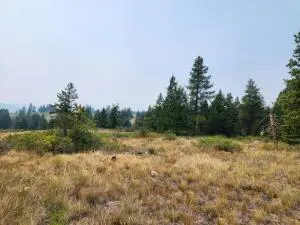 250 Union Ridge Rd, Republic, WA 99166 - #2