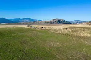 491X Hunters Campground Rd, Hunters, WA 99137 - #2