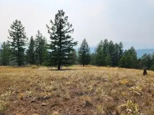 TBD Rose Valley Rd, REPUBLIC, WA 99166