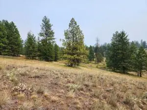 TBD Rose Valley Rd, Republic, WA 99166 - #2
