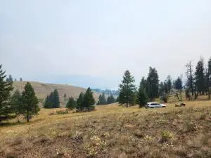 TBD Rose Valley Rd, Republic, WA 99166 - #3