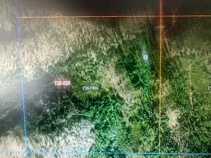 XXX Coyote Canyon Rd, Loon Lake, WA 99148 - #1