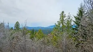 26XX Burnt Valley Rd, Chewelah, WA 99109 - #2