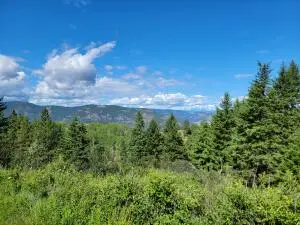 29 Yellow Brick Rd, Curlew, WA 99118 - #1