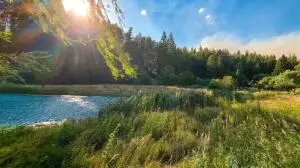 3424 Cedonia-addy Rd, Hunters, WA 99137 - #2
