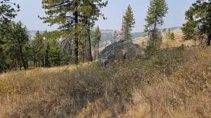 5884 Coyote Canyon Rd, Colville, WA 99114 - #2