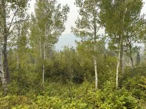 51XX Northport-waneta Rd, Colville, WA 99114 - #1