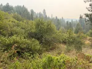 51XX Northport-waneta Rd, Colville, WA 99114 - #3