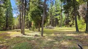 29 Cape Labelle Rd, Wauconda, WA 98859 - #3