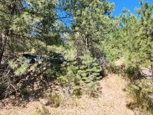 TBD Klondike Rd, Republic, WA 99166 - #2