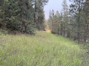 2XX Deadman Creek Rd, KETTLE FALLS, WA 99141