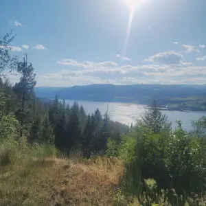 19XX Highway 25, Kettle Falls, WA 99141 - #1