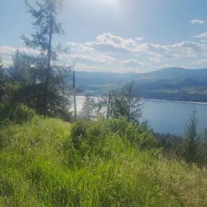 19XX Highway 25, Kettle Falls, WA 99141 - #2