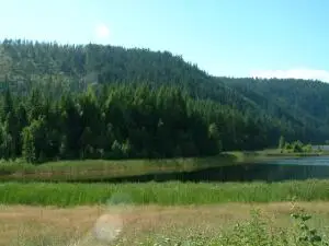 49XX Sheep Creek Rd, NORTHPORT, WA 99157