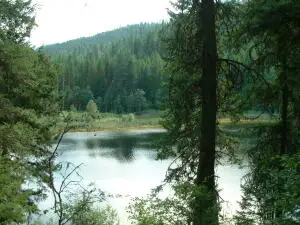 49XX Sheep Creek Rd, Northport, WA 99157 - #2