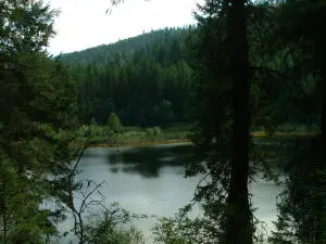 49XX Sheep Creek Rd, Northport, WA 99157 - #3