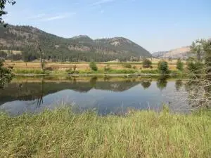 TBD Customs Rd, Curlew, WA 99118 - #1