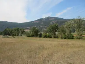 TBD Customs Rd, Curlew, WA 99118 - #2