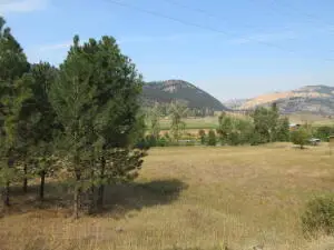 TBD Customs Rd, Curlew, WA 99118 - #3