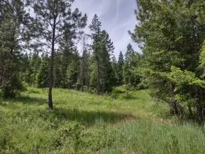 XX Springdale Hunters Hwy, SPRINGDALE, WA 99173