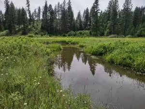 XX Springdale Hunters Hwy, Springdale, WA 99173 - #2