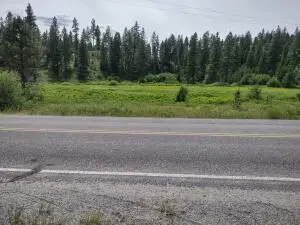 XX Springdale Hunters Hwy, Springdale, WA 99173 - #3