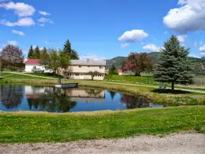 1723 W Blue Creek Rd, Chewelah, WA 99109 - #1