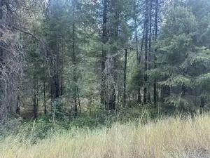 TBD2 W Jumpoff Rd, VALLEY, WA 99181