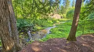 683 Haller Creek Rd, Colville, WA 99114 - #3