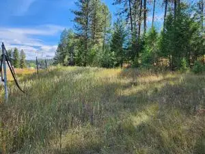 TBD Pine Grove St, REPUBLIC, WA 99166
