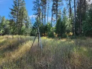 TBD Pine Grove St, Republic, WA 99166 - #2