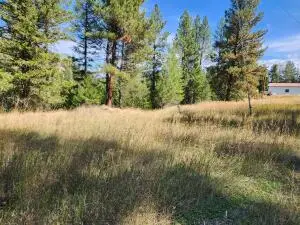 TBD Pine Grove St, Republic, WA 99166 - #3