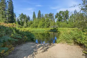 751 Suther Ln, Elk, WA 99009 - #3