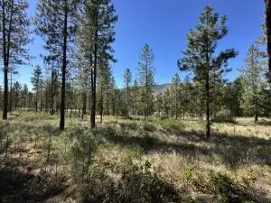 1176 Fumi Cir, KETTLE FALLS, WA 99141