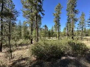 1176 Fumi Cir, Kettle Falls, WA 99141 - #3