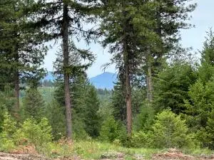 36XX LOT D Sheridan Rd, Republic, WA 99166 - #1