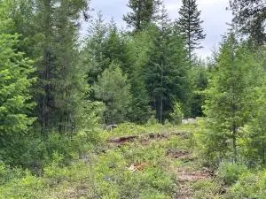 36XX LOT D Sheridan Rd, Republic, WA 99166 - #2