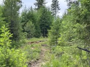 36XX LOT D Sheridan Rd, Republic, WA 99166 - #3