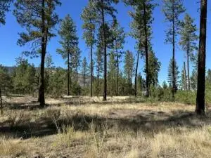 1188 L Fumi Cir, Kettle Falls, WA 99141 - #1