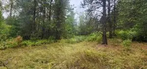 TBD Smackout Creek Rd, COLVILLE, WA 99114