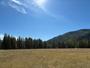 2022 Aladdin Rd, Kettle Falls, WA 99141 - #3