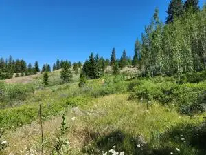18 Robin Rd, Republic, WA 99166 - #1