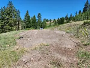 18 Robin Rd, Republic, WA 99166 - #3