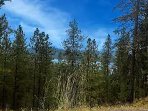 1708 Northport Flat Creek Rd, Kettle Falls, WA 99141 - #2