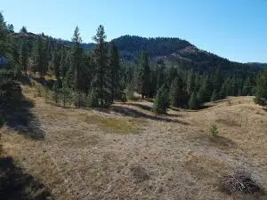 68 Jostin Ln, MALO, WA 99150