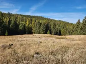 20XX Clugston-onion Creek Rd, Colville, WA 99114 - #3