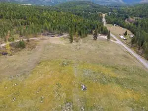 199X Clugston Onion Creek Rd, Colville, WA 99114 - #2